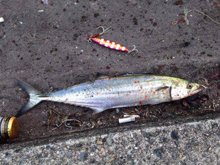 お盆休み駆け込み釣行