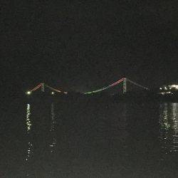 剣先イカ エギング