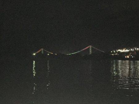 剣先イカ エギング