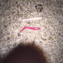 仕事帰りの太刀魚釣り