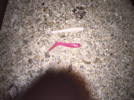 仕事帰りの太刀魚釣り