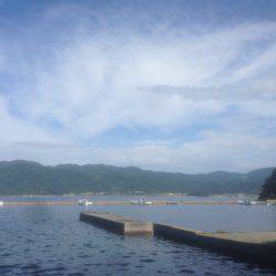 寝過ごし‥30分のみ