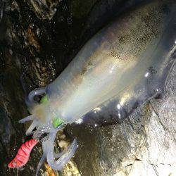 あちこちランガン‼︎