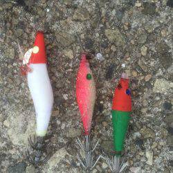 ケンサキ良好、アオリ不発