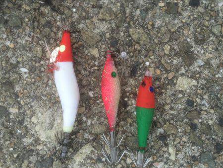 ケンサキ良好、アオリ不発