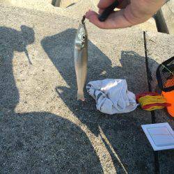 渋い…だが！？