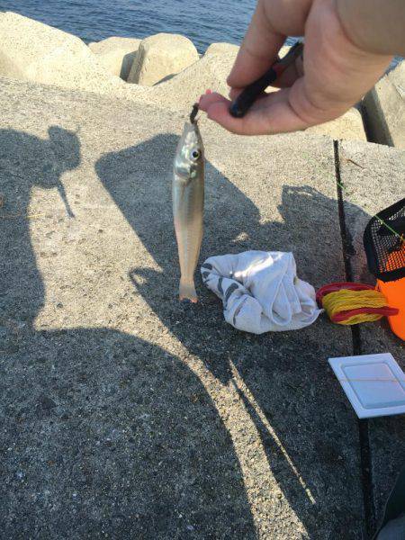 渋い…だが！？