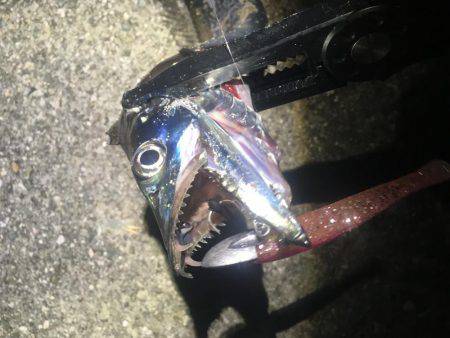 意地になってしまいました!