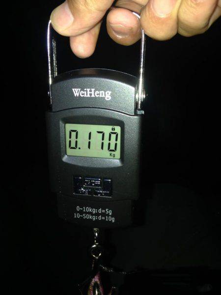 リベンジエギング