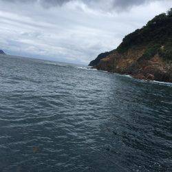 五目フィッシング