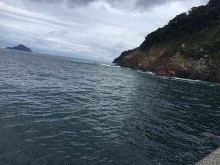 五目フィッシング