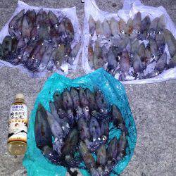 まったりエギング。