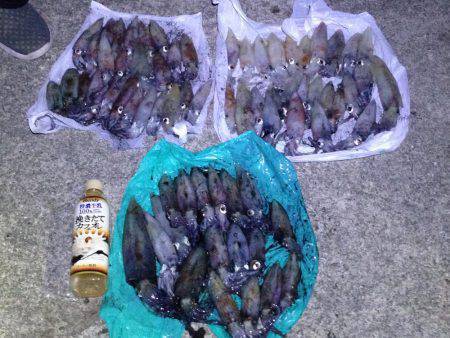 まったりエギング。