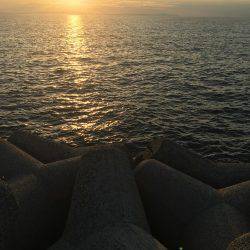 サゴシ不発、   タチウオ当たり