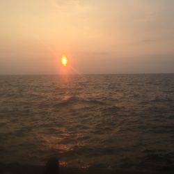 太刀魚ワインド