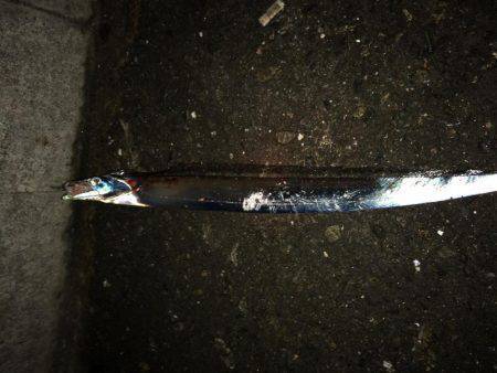 ちょっとサイズUP↑