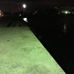 ちょい投げはダメだったけど…