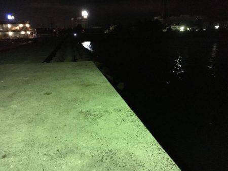 ちょい投げはダメだったけど…