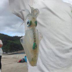 エギング最高( ´ ▽ ` )ﾉ