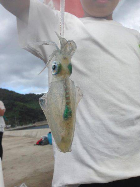 エギング最高( ´ ▽ ` )ﾉ