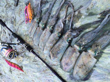 ウネリの中朝練エギング