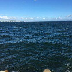 台風後のショアジギング