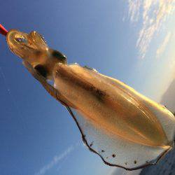 ウネリの中エギング