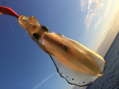 ウネリの中エギング