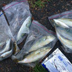 久しぶりの釣り