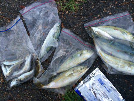 久しぶりの釣り