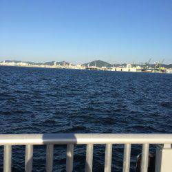 サゴシ回ってきた。