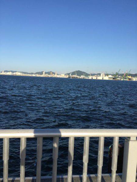 サゴシ回ってきた。