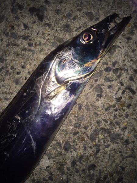 ライト開始です!