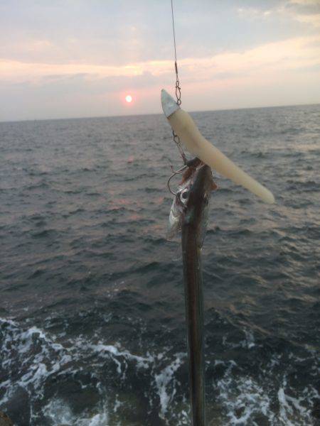 今年初ドラゴン