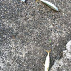 ハード釣行2日目!!