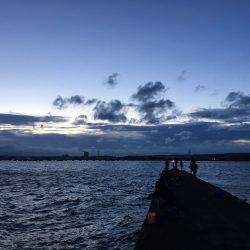 初ソーダカツオ