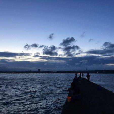 初ソーダカツオ