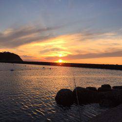 ちょろっとガシリング