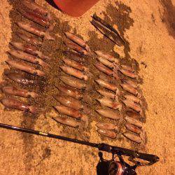 ライケン二回目