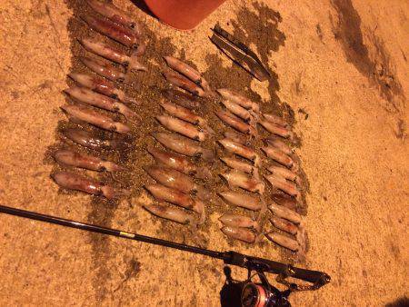 ライケン二回目