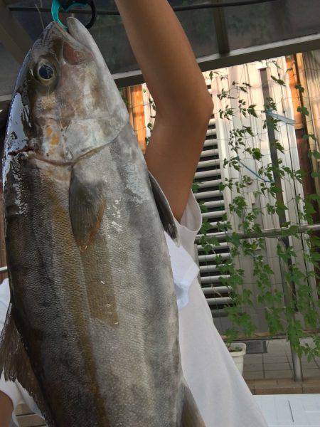 田尻の釣り堀、ほとんどの時間帯、日陰で快適…