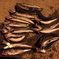 もう終わりか？