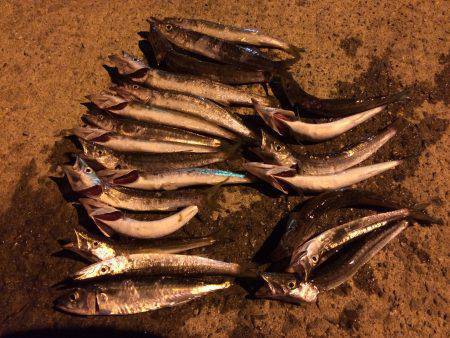 もう終わりか？