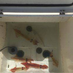 マイボートでイカメタル釣行