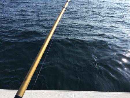 家島沖 丸アジ25〜35㎝