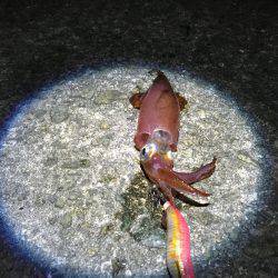 人混みを避けて…