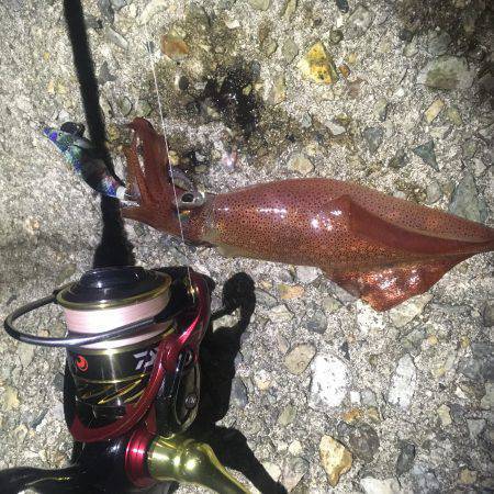 まだまだいますよね〜(^-^)