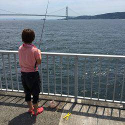 タチウオいない。アジはいる。