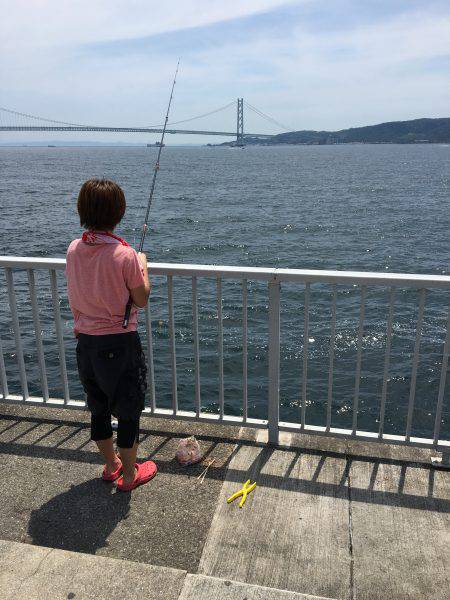 タチウオいない。アジはいる。