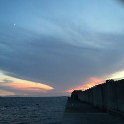 田ノ浦漁港エギング10回目